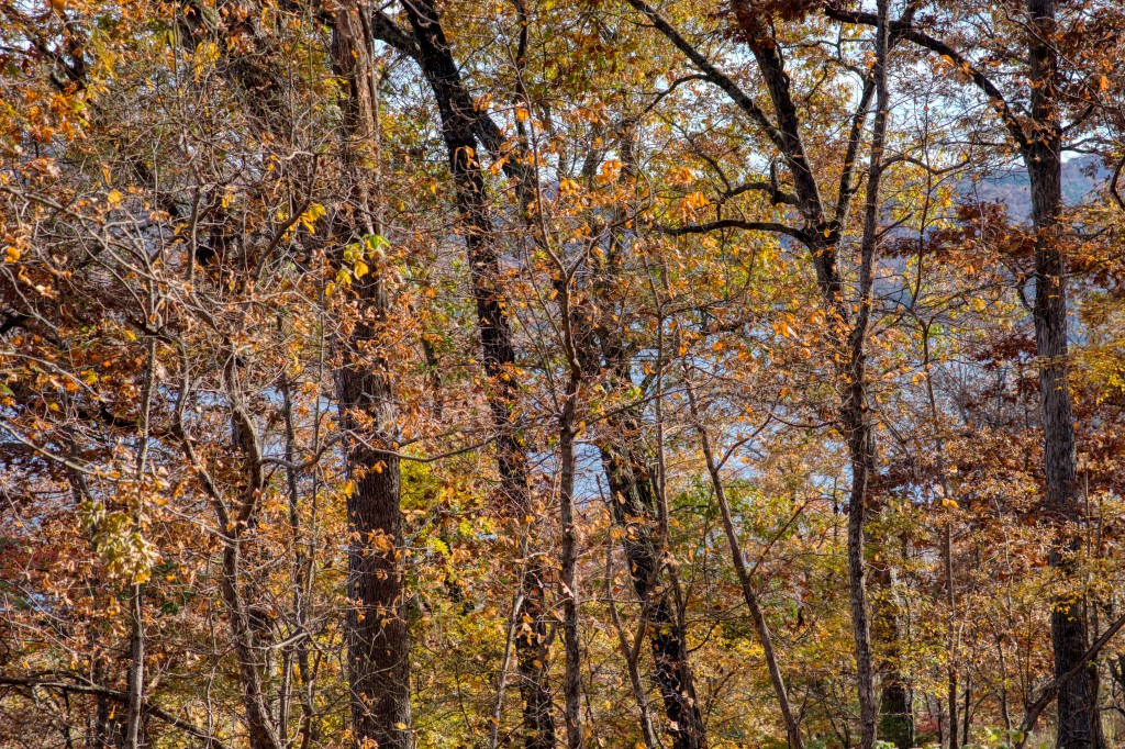 Lake Forest Acres #2 - Residential