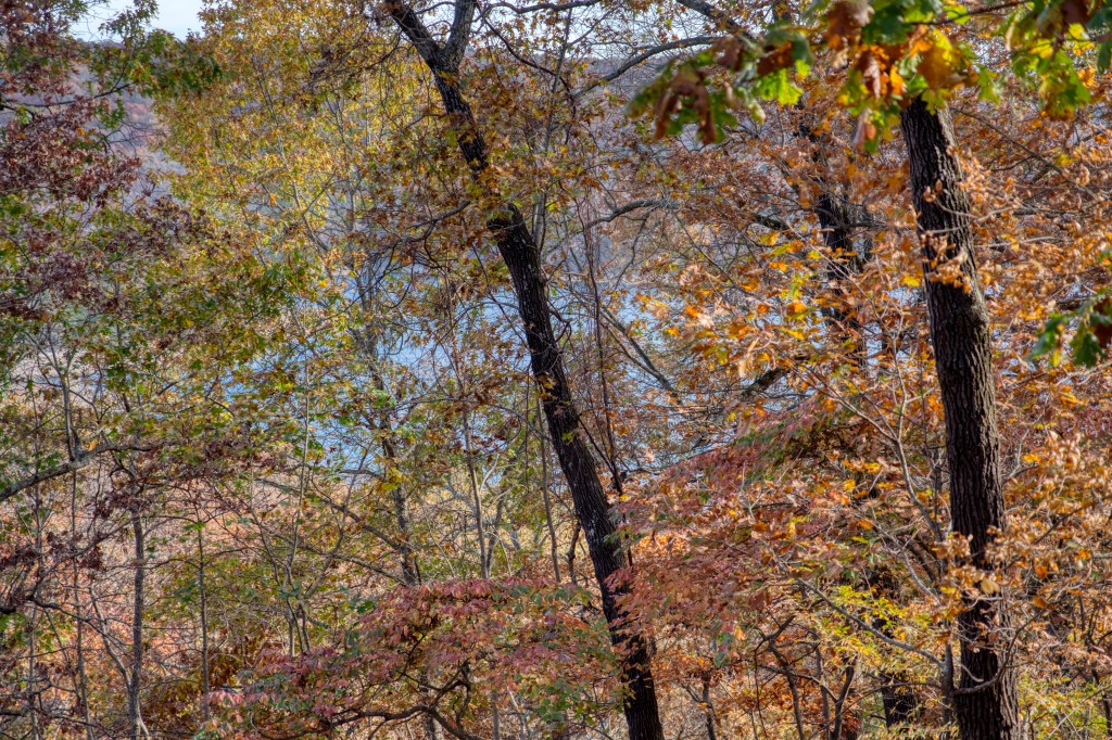 Lake Forest Acres #2 - Residential