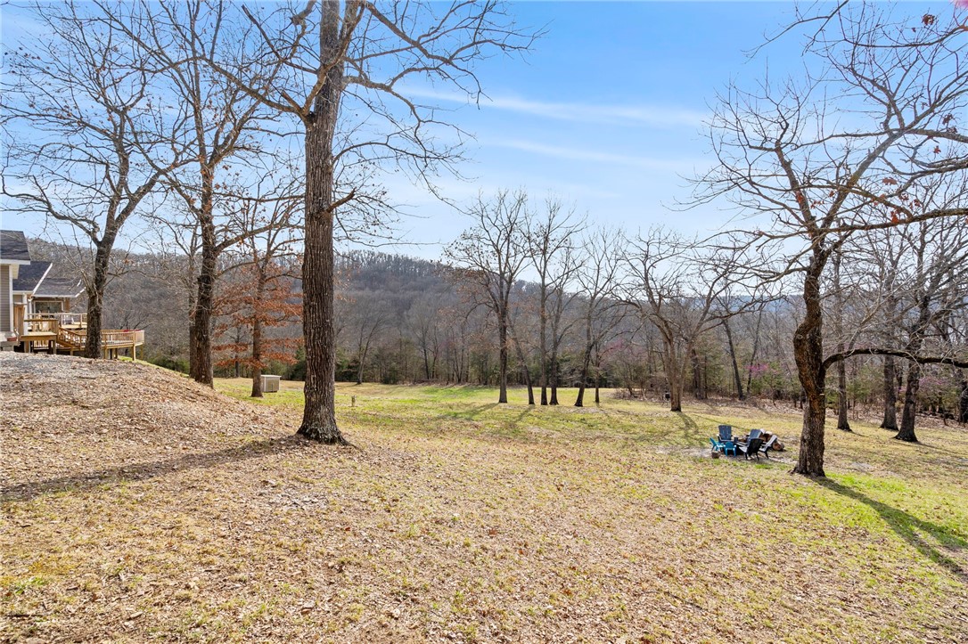 Blair Branch Area - Residential