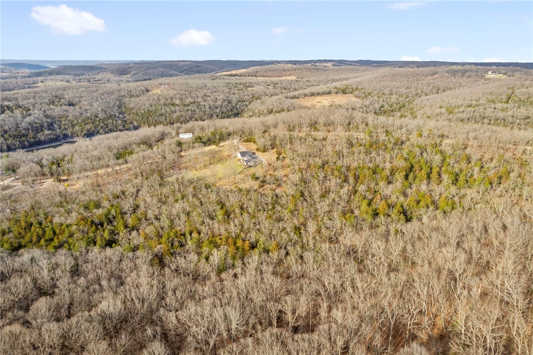 Blair Branch Area - Residential