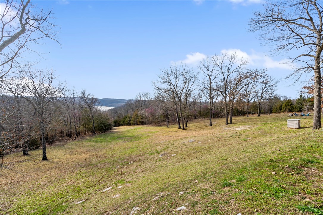 Blair Branch Area - Residential