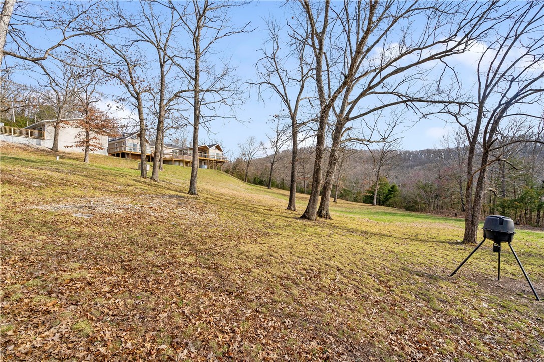 Blair Branch Area - Residential