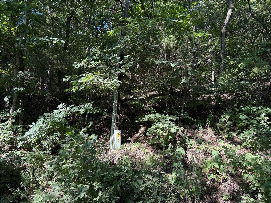 Located just off of HWY 412 W at OSAGE AR, 116.94 acres with estimated TIMBER VALUE of $93,095, Electric at the road. Completely Wooded Property - a HUNTERs Dream