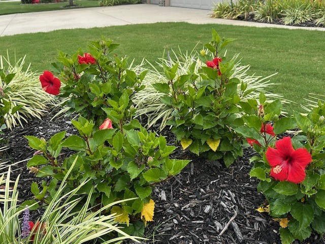 Crystal Springs Phase III - Residential