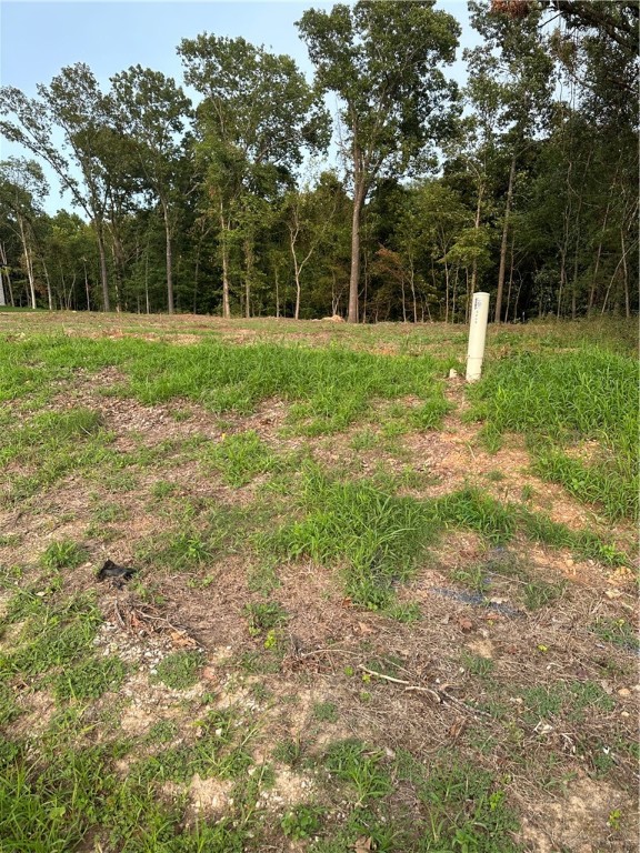 Beautiful wooded lot in Timber Ridge Estates. Has been cleared and ready to build. Perc test completed, has septic design already. **PROPERTY IS NOT IN A FLOOD ZONE** Contact agent for more details.