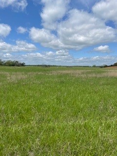 Check's Corner - Land