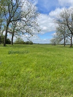 Check's Corner - Land
