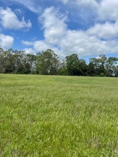 Check's Corner - Land
