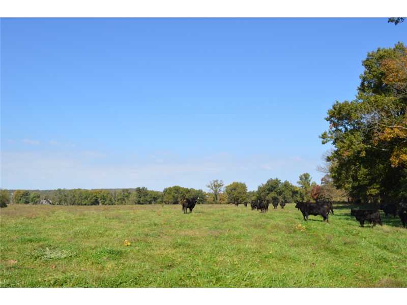 Rural - Land