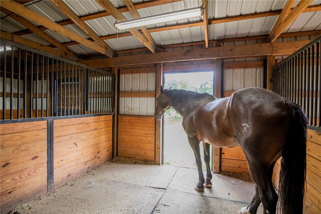 Spring Creek Meadows - Residential