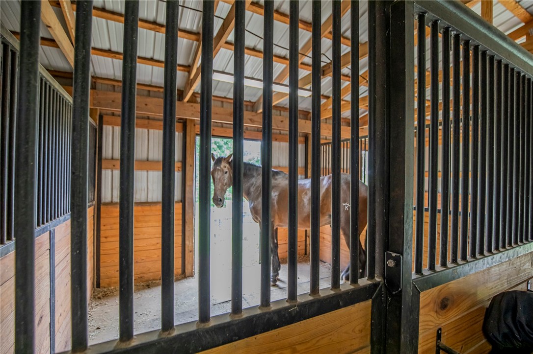 Spring Creek Meadows - Residential