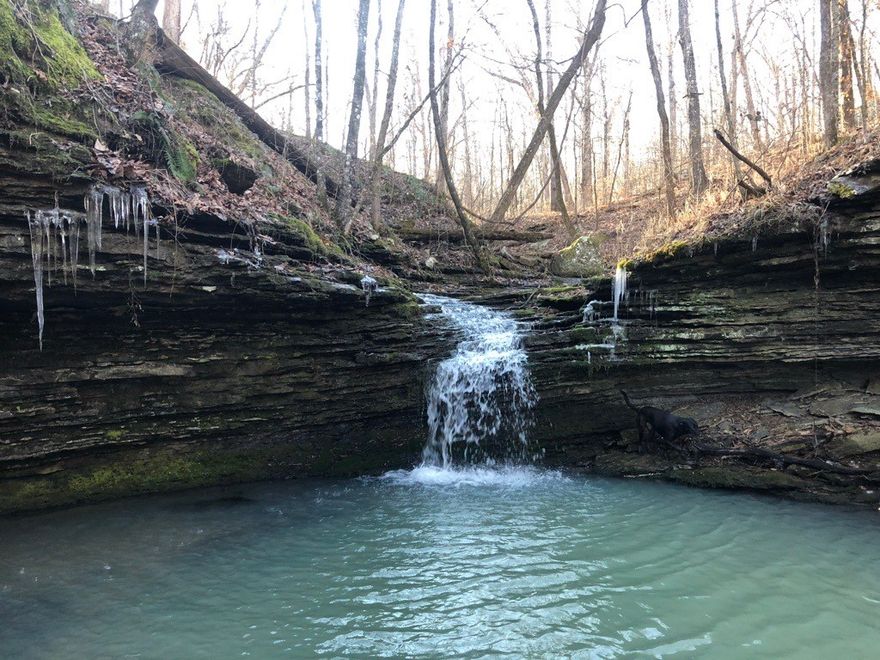 Discover this exceptional 78+ acre retreat near Devils Den State Park, featuring a charming 3-bedroom, 1-bath cabin-style home. Accessed via a private 0.7-mile gravel drive, ensuring, privacy. The property offers approximately 20 acres of cleared land with two scenic ponds, perfect for outdoor activities, with the rest of the acreage remaining as natural forest. Wattle Hollow Creek flows through the property, complete with a picturesque waterfall and natural swimming hole. Wildlife is abundant, with frequent sightings of deer, wild turkey, and occasional black bears, offering a true connection with nature. This cozy home is equipped with fiber internet, making it ideal for remote work or creative pursuits. Whether you're seeking a peaceful sanctuary, an artist’s studio, an executive retreat, a hunting getaway, or a vacation rental, this versatile property offers endless possibilities. Embrace the serenity and natural beauty of this unique acreage—an ideal escape from the everyday hustle.