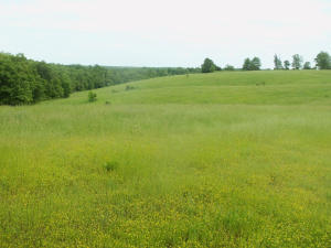 Gorgeous 282 acres with a good blend of woods & pasture. Beautiful bldg. sites w/nice views. 3 ponds, 1 yr. rnd spring & several seasonal springs. Approx. 100 ac in pasture. 4-wheeler trails. Excellent deer & turkey hunting. Electric & rural water available. Lays nice. Great place to build a home, raise cattle & horses have your personal hunting retreat. Located in popular area of county.