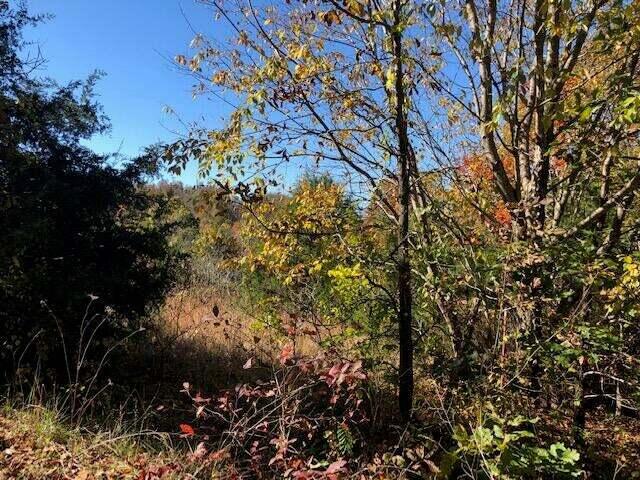 Just over 8 acres in Jasper, only a few miles to town and near the Buffalo river.