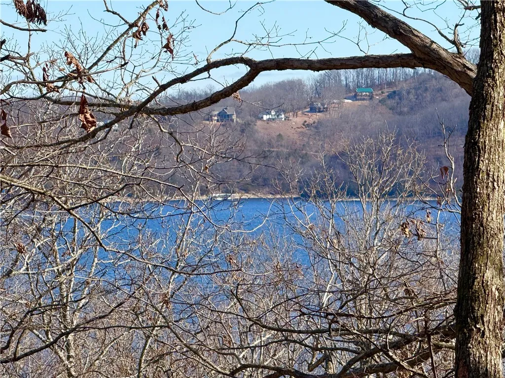 Garfield, Arkansas 72732, United States, 4 Bedrooms Bedrooms, ,3 BathroomsBathrooms,Residential,Active,43806