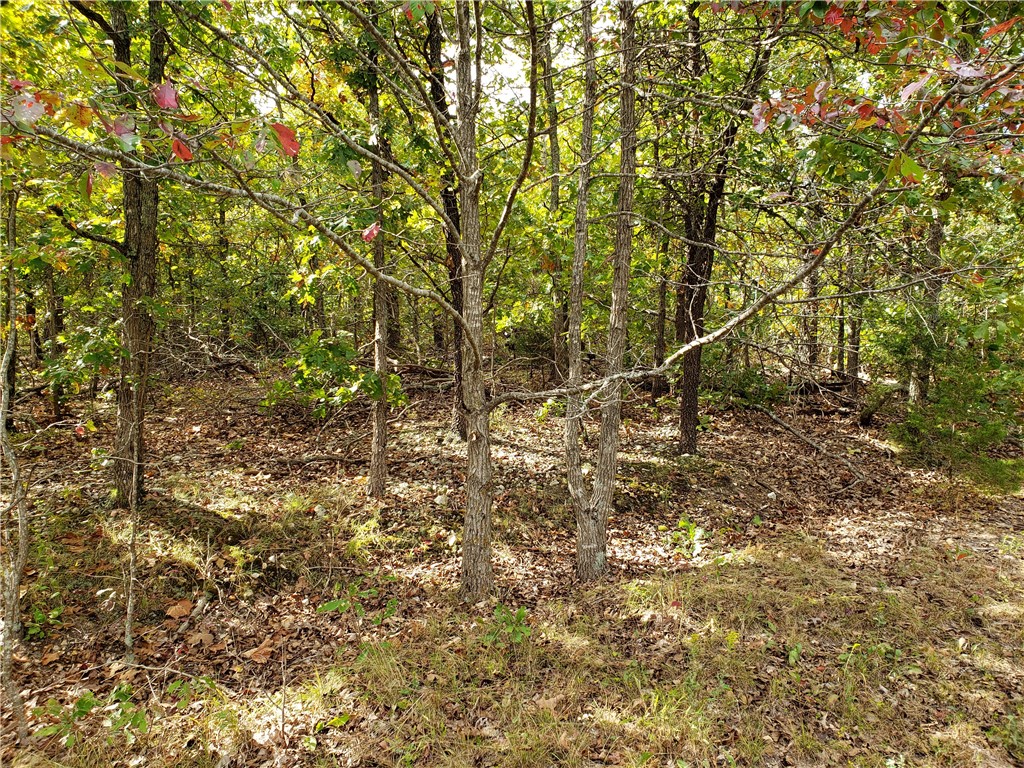 If its privacy You Want well here it is!!! No Neighbors, in cul de sac, or on street up to corner which is a distance. However very handy to Jane Wal Mart and Golf courses and Branchwood. A beautiful location so private yet close to everything.