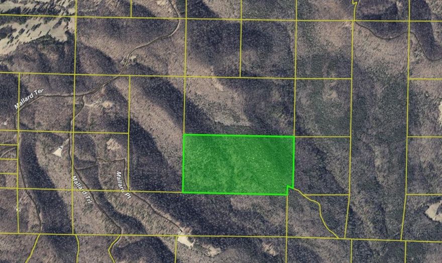 This 80± acre tract is not for the faint of heart—and that’s exactly the point. Tucked deep in the Ozarks of Rea Valley, this rugged, heavily wooded property offers true off-grid living with no neighbors, no noise, and no compromises. If you’re searching for a place where the pavement ends and the wilderness begins, you’ve found it. The land features steep, rugged terrain, dense timber, and abundant wildlife, creating an ideal setting for hunters, outdoor enthusiasts, and those craving total seclusion. Access starts on a paved road, transitions to maintained county roads, and finishes on a back road where ATV access may be required—adding a natural barrier from the outside world. Located near both the Buffalo National River and the White River, this property puts world-class hunting, fishing, and recreation within reach while still feeling miles away from everything. No utilities. No development. Just raw Ozark ground ready for someone who values privacy, freedom, and self-reliance.