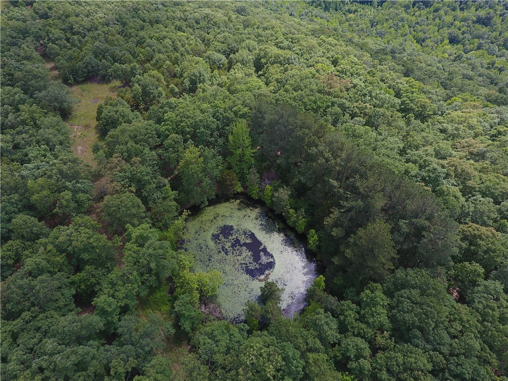 Discover the ultimate retreat in the Ozark Mountains with this premier hunting and recreational property. This beautiful tract offers a rare combination of privacy, natural beauty and abundant wildlife, making it a dream destination for hunters, outdoor enthusiasts or anyone seeking a peaceful getaway.
This property features mature hardwood timber, rolling terrain and natural cover, providing an ideal habitat for deer, turkey, bear, and small game hunting. Whether you’re setting up for whitetail deer season, calling in spring gobblers, or scouting for black bear, this land offers year-round outdoor adventure.
The recreational potential doesn’t stop with hunting – explore trails, hike the wooded ridges, or simply enjoy the serenity of your own Ozark escape. With easy access from Madison County Road 3655, this property provides seclusion without sacrificing convenience. Just a short drive to the Kings River, the Buffalo River National Park, Wilderness Rider Adventure Park or the Ozark National Forest.
