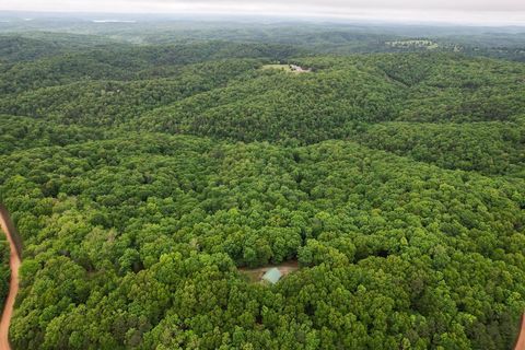 Single Family Residence in Eureka Springs AR 2450 County Road 102 45.jpg