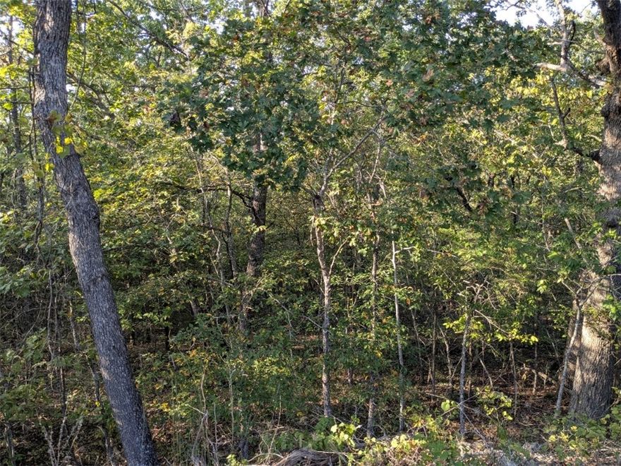 Ready to build your dream home? Near walking trails. Quiet and gently wooded, this spacious lot offers the best of both worlds. Enjoy the amenities in Holiday Island like golf courses, a country club, swimming, tennis and a marina with a fishing dock or watch the local fauna from your deck! Nearby Eureka Springs or Rogers offers great shopping and vibrant cultural hubs.