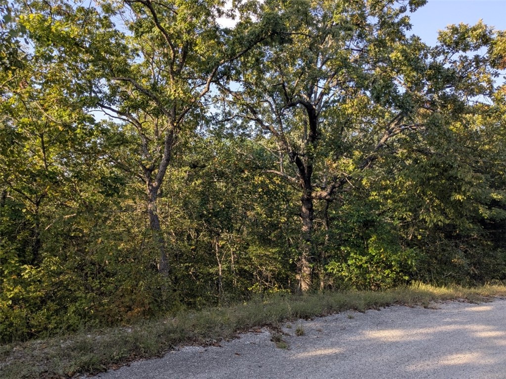 Unit 2 Holiday Island - Land