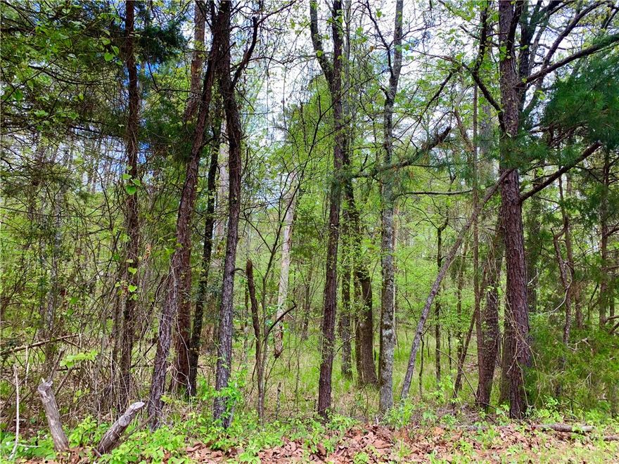 Lot 17 Block 1 Jabali Way, Hot Springs Village, AR  71909. Garland County. Fountain Lake School District
This lot is in a spectacular golf course subdivision. HSV boasts several stunning golf courses, lakes, walking and biking trails. Also a kayak park and many other recreational opportunities. Build your retirement home or an investment vacation home. Or live now in a beautiful, peaceful community! Agent owned. We are motivated.