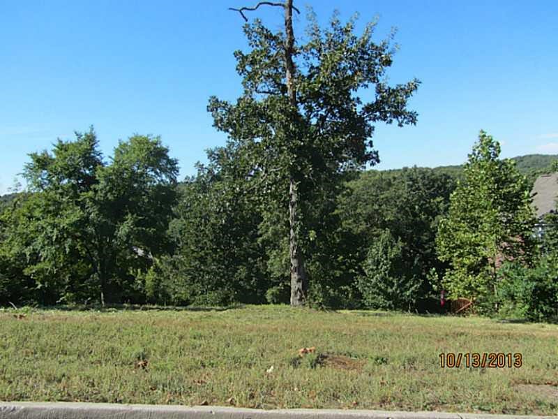 Beautiful lot. Close to town but, lake view. Neighborhood of large homes.