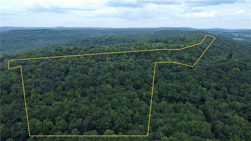 This awesome property boasts gorgeous, mature timber, seclusion and many natural materials for homesteading. The landscape features bluffs and rock outcroppings, complemented by several flat benches for building your home or cabin. South-facing for optimal sunlight, the property is easily accessible via a well-maintained gravel road, with electric service available at the road. Located near I-49 and the NWA metro, this land offers both seclusion and accessibility. Outdoor enthusiasts will appreciate the proximity to Devil's Den State Park, known for its hiking, mountain biking, and ATV trails. Additionally, the property is near thousands of acres of national forest, public hunting and exploration. Deer, bear and turkey inhabit the area. Imagine building your private retreat amidst this natural beauty. Whether you're seeking adventure or tranquility, this property offers the best of both worlds, making it a rare and valuable find. Property has previously perc’ d for 4 bedroom standard system! Rural water available!
