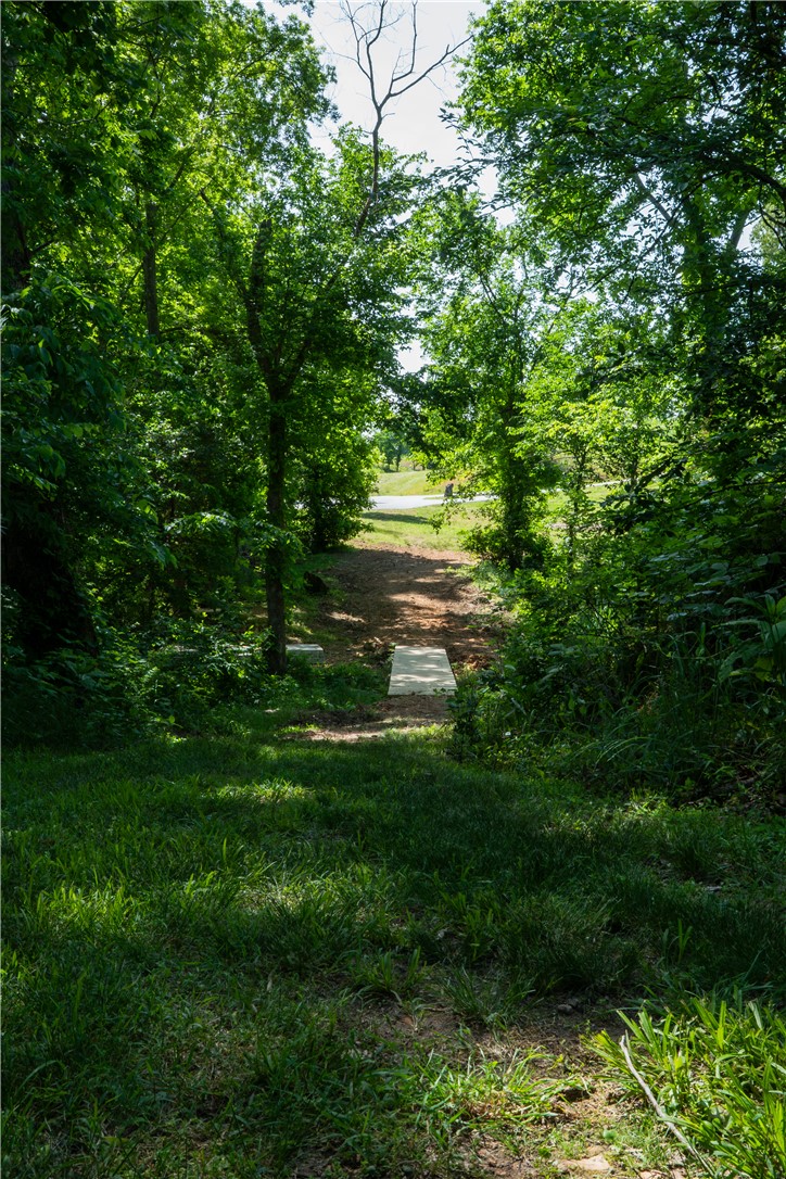 Healing Springs Phase 2 - Land