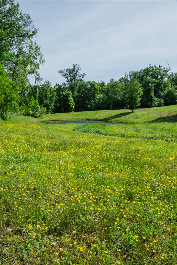 Healing Springs Phase 2 - Land