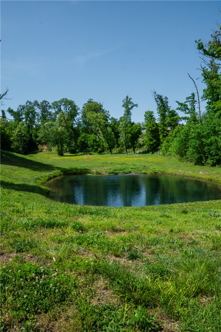 Healing Springs Phase 2 - Land