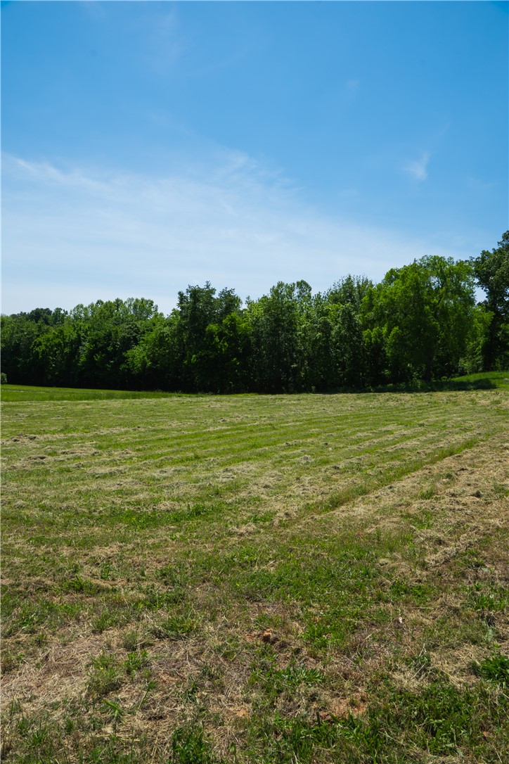 Healing Springs Phase 2 - Land