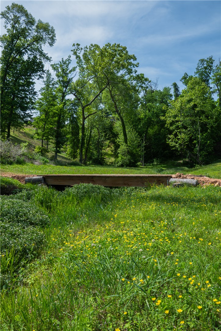 Healing Springs Phase 2 - Land