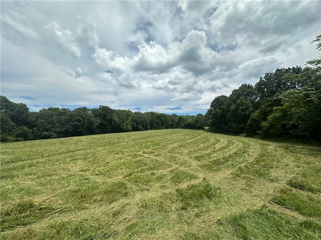 Welcome to an exceptional investment opportunity in the heart of Rogers, Arkansas! This expansive, fully fenced 7.83-acre parcel, mostly level and primed for development, sits just minutes from the vibrant downtown Rogers area and the serene Lake Atalanta, with Beaver Lake only 3 miles away. With water and electric already on-site and public sewer access just 100 feet down the road, this property is perfectly positioned for a residential development or lot subdivision. Seize the chance to create a thriving community in a high-demand location, capitalizing on Northwest Arkansasās rapid growth and proximity to premier recreational and urban amenities.