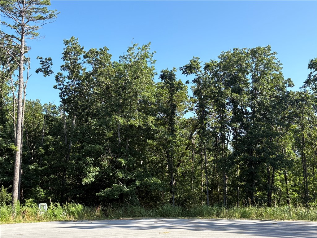 This prime lot in the new TRAIL RIDGE subdivision offers the perfect blend of convenience and nature. Located within a highly rated Bentonville school district, it features buried utilities, sewer access, and high-speed internet. Enjoy the serene, wooded surroundings and easy access to local trails including Tunnel Vision and Little Sugar. Plus, you're close to essential amenities, the Bella Vista Country Club/Golf Course, and Scottsdale Golf Course. Build your dream home with the neighborhood developer or bring your builder. The minimum build size is 1950 sf. This lot is adjacent to the Tunnel Vision trail. Don’t miss out on this unique opportunity in vibrant, growing Bella Vista, AR.