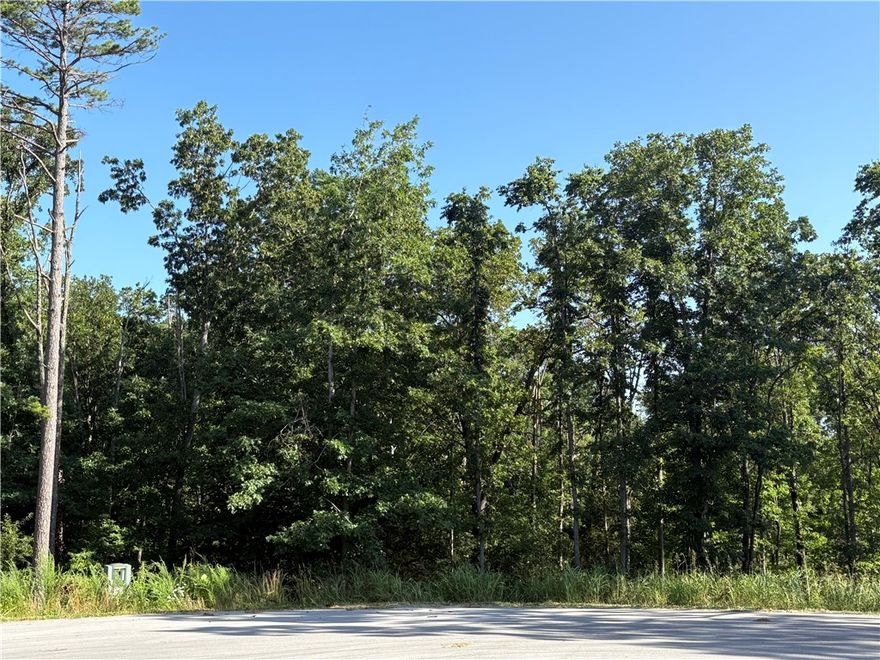 This prime lot in the new TRAIL RIDGE subdivision offers the perfect blend of convenience and nature. Located within a highly rated Bentonville school district, it features buried utilities, sewer access, and high-speed internet. Enjoy the serene, wooded surroundings and easy access to local trails including Tunnel Vision and Little Sugar. Plus, you're close to essential amenities, the Bella Vista Country Club/Golf Course, and Scottsdale Golf Course. Build your dream home with the neighborhood developer or bring your builder. The minimum build size is 1950 sf. This lot is adjacent to the Tunnel Vision trail. Don’t miss out on this unique opportunity in vibrant, growing Bella Vista, AR.