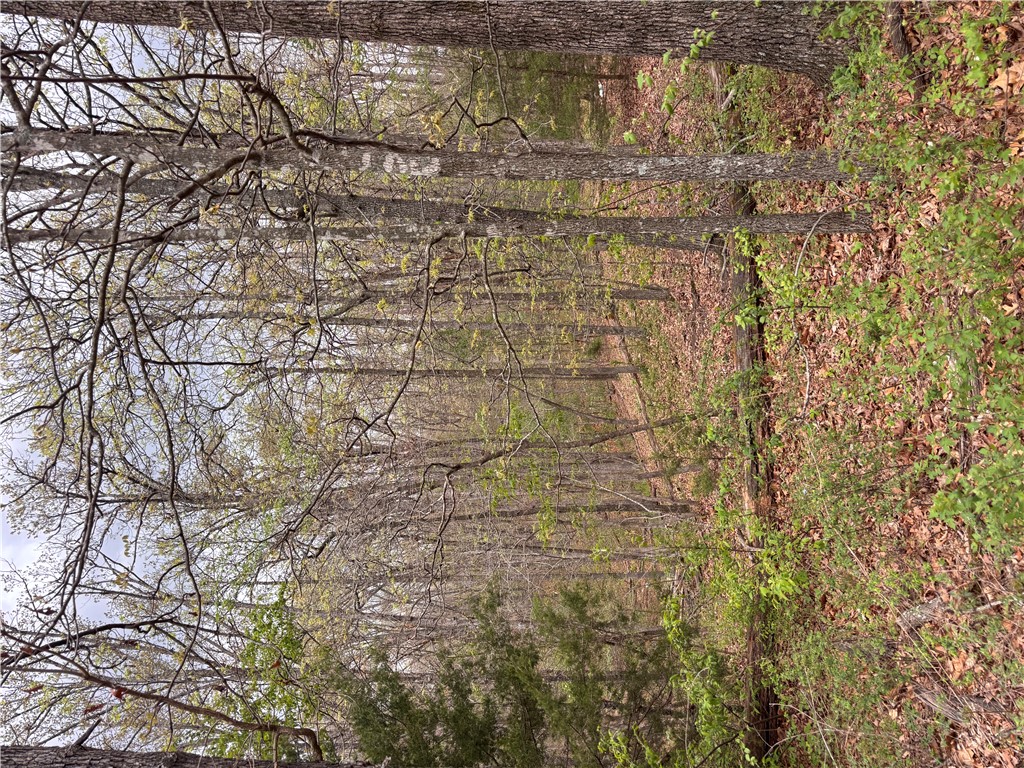 Monmouth Sub Bvv - Land