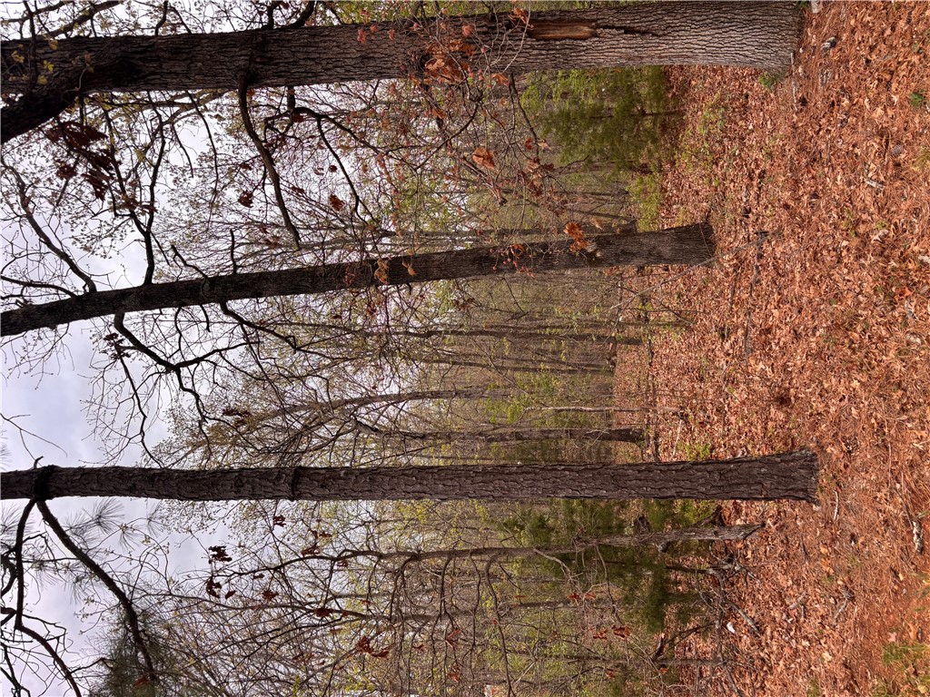 Monmouth Sub Bvv - Land