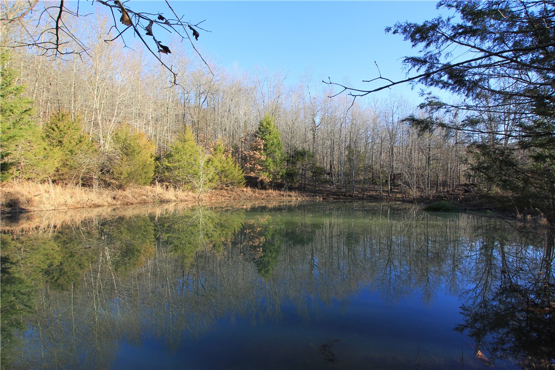 If you like seclusion to the degree of being 20 minutes down a gravel road, but with the convenience of electricity, and under an hour from the metro area, then this 60 acre parcel in Madison County may be the one. A recent select-cut of the timber has created what will be some outstanding habitat when spring arrives. All the trails you could want, allowing for navigation of the entire property, were created during the cut, and many mature hardwoods were left standing. The trails and openings are just waiting for the buyer to pick and choose which ones to maintain for travel or food plots, and which ones to let grow up into bedding and browse for the deer and turkey. By next fall this property will be an absolute magnet for deer, with sunlight now reaching new places on the forest floor. It is also an excellent candidate for those wanting to divide the tract for friends or family, because the power line already transitions to multiple parts of the property across the main entry road.