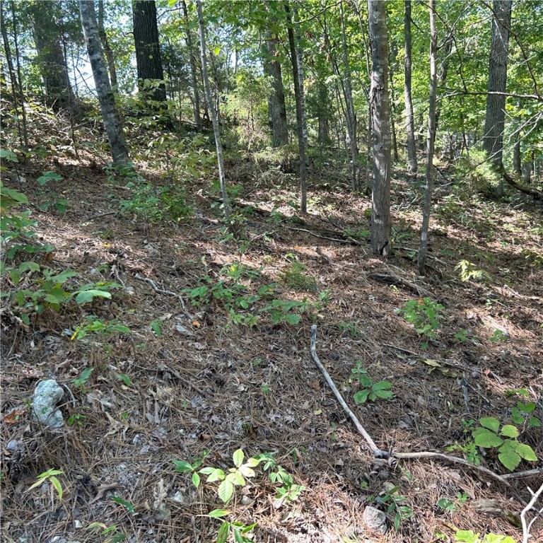 Secluded and private 18.21 Acres near the Hobbs Park with several level areas for building a cabin or house of your dreams.