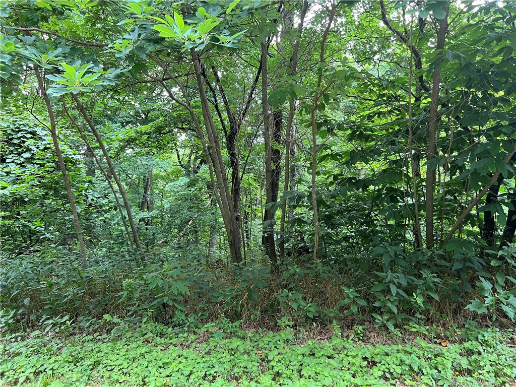 Unit 6 Holiday Island - Land