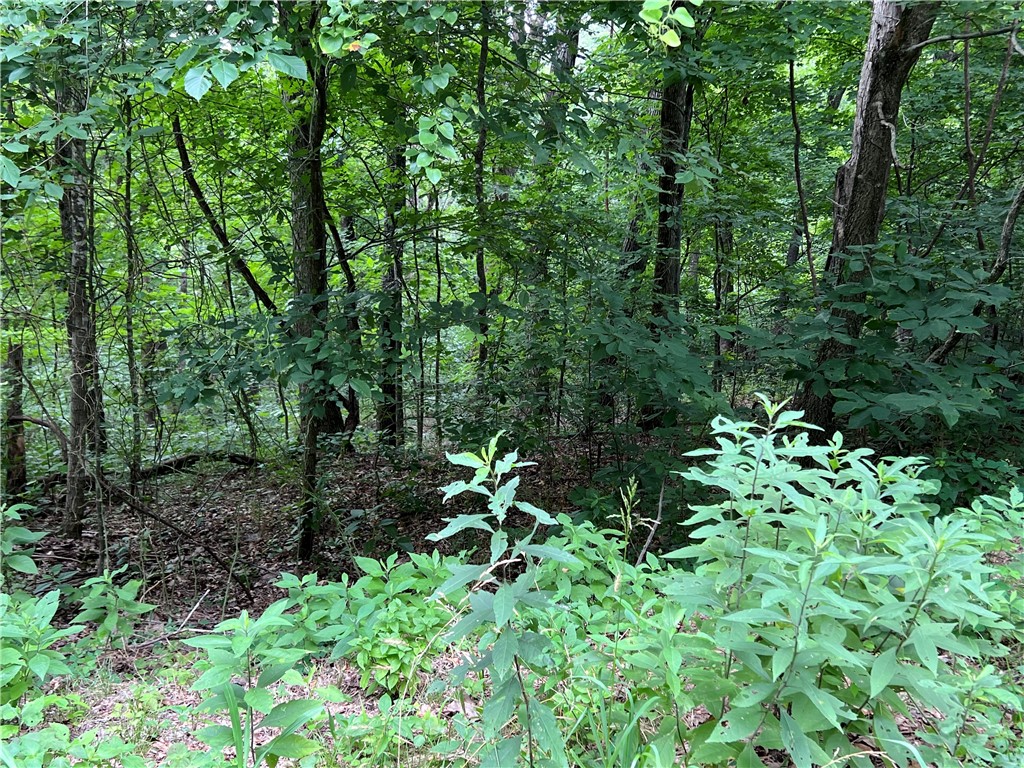 Unit 6 Holiday Island - Land