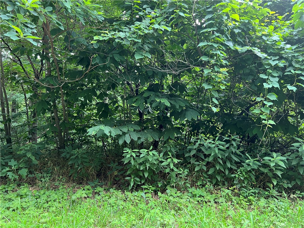 Unit 6 Holiday Island - Land