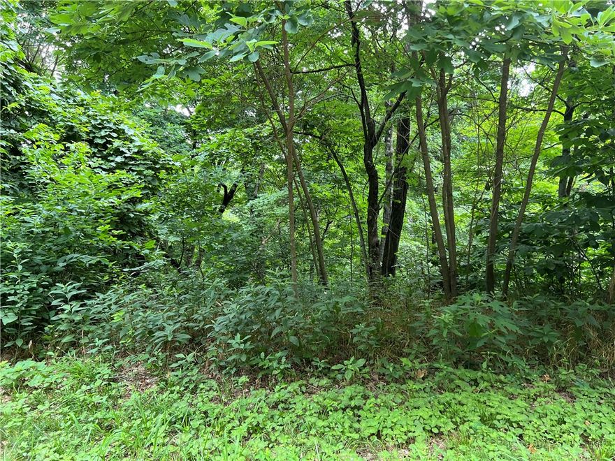 Own a serene slice of the Ozarks with 1.36 acres in Holiday Island! Two adjacent lots on Hawk Drive offer a tranquil haven surrounded by trees, with paved roads and utilities at the street. Enjoy stunning views and convenient access to Table Rock Lake, championship golf courses, recreation & leisure amenities, shopping, and healthcare services. The perfect spot to construct a dream home, vacation retreat, or lucrative lake-area rental!