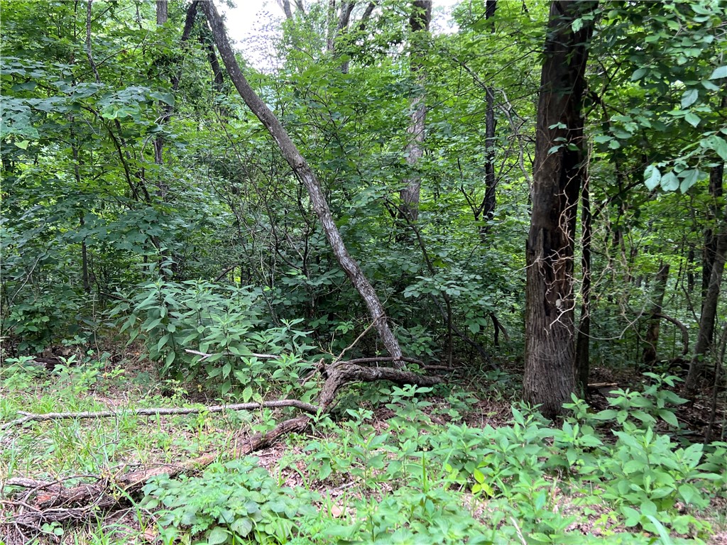 Unit 6 Holiday Island - Land