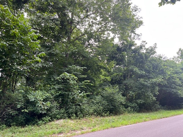 Unit 6 Holiday Island - Land