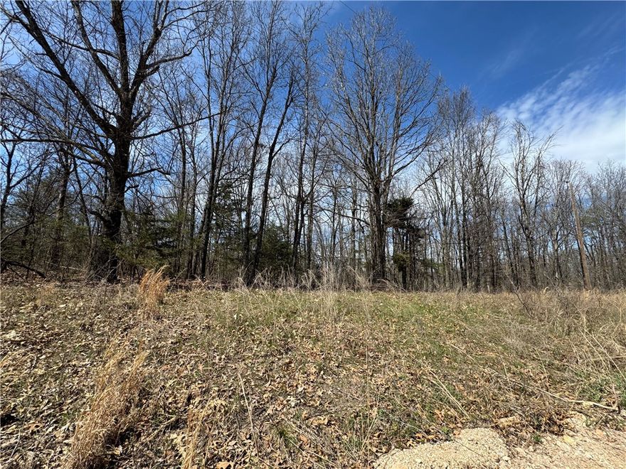 Nestled in the sought-after Omaha area of Boone County, this 6.91-acre property presents an ideal canvas for a dream residence, hobby farm, or hunting sanctuary. Just 1.3 miles off Hwy 14 via a well-maintained dirt road, the land  had a recent perc test. Will need septic and a well.  City water is available but not at this time due to Omaha Water Dept not giving out new water taps but will in the future. Electric is at the street . Buyer is responsible to verify utilities. Revel in the serene surroundings while only a short 20-minute drive from Branson, Table Rock Lake, or Harrison, and a mere 6 miles from Bull Shoals Lake. Live the rural lifestyle with convenient access to nearby amenities - a rare chance for those in search of a peaceful yet accessible location to craft their personal paradise.