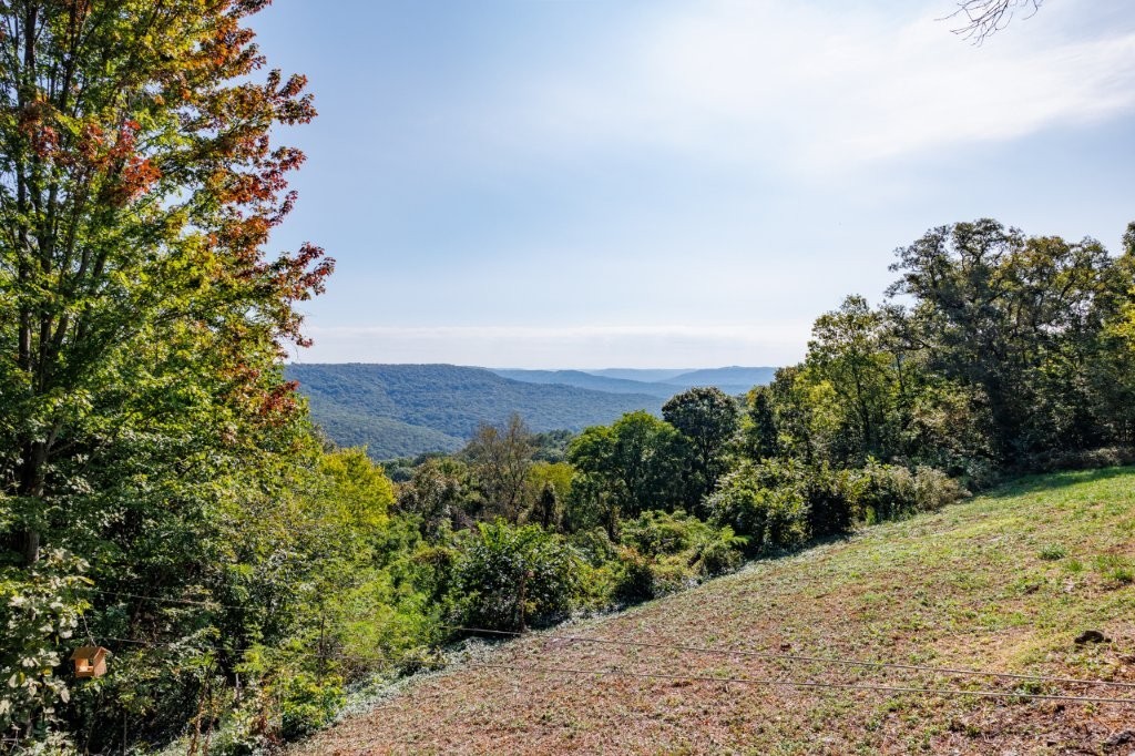 McClendon Sub - Residential