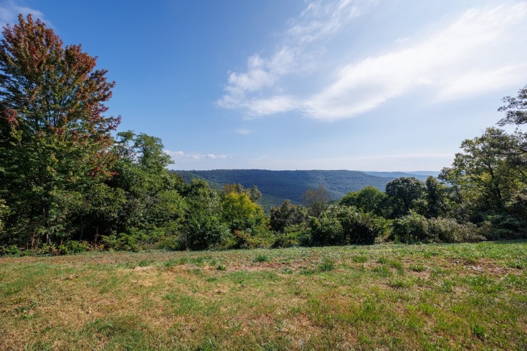 McClendon Sub - Residential