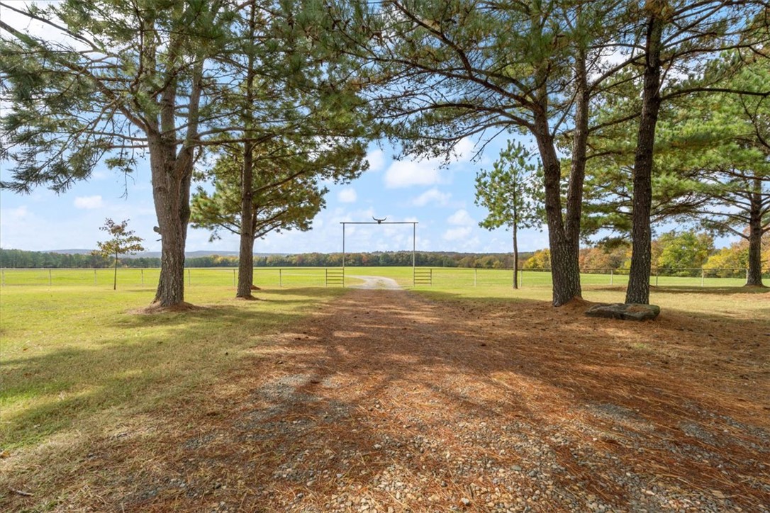 Cedarville City - Residential